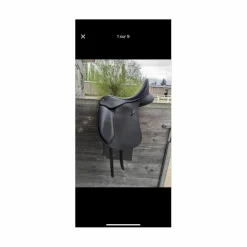 hart 500 dressage 17p*Wintec Discount