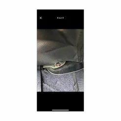hart 500 dressage 17p*Wintec Discount